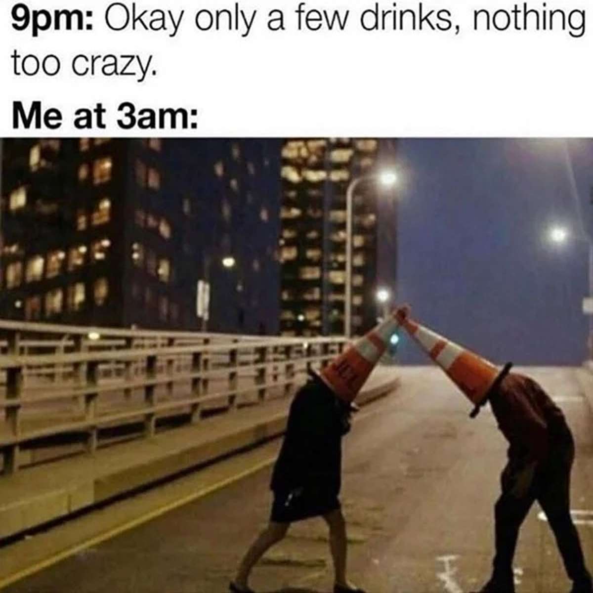 dank memes - funny drunk meme - 9pm Okay only a few drinks, nothing too crazy. Me at 3am