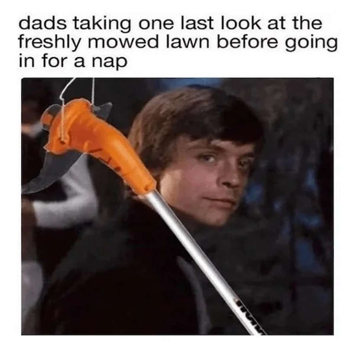 dank memes - photo caption - dads taking one last look at the freshly mowed lawn before going in for a nap Sc