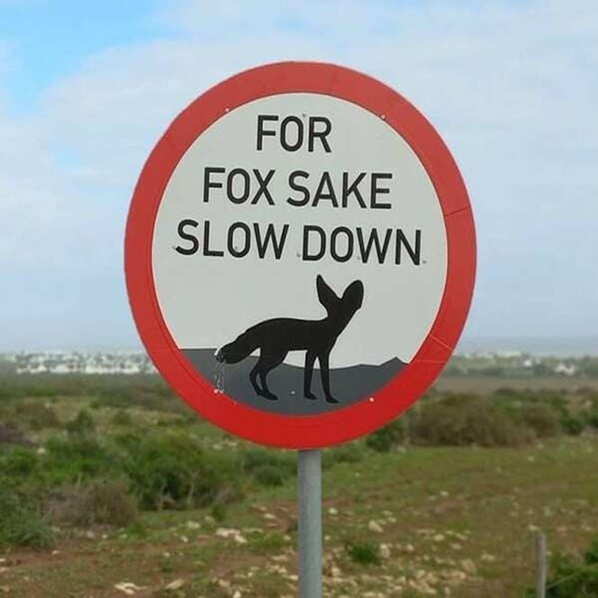 dank memes - traffic sign - For Fox Sake Slow Down