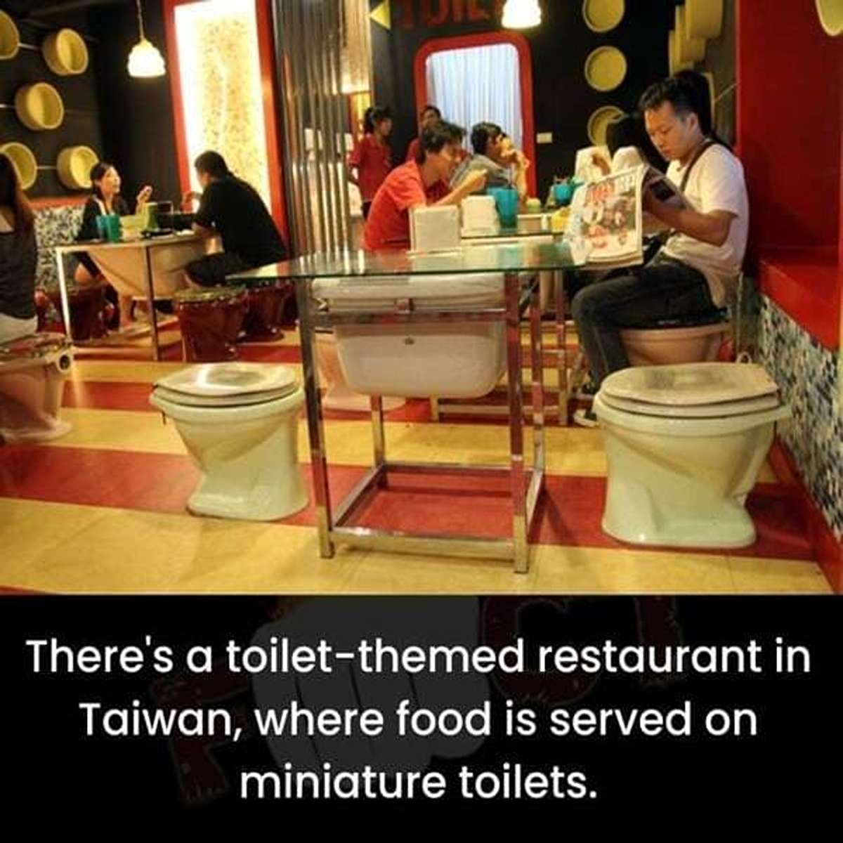 dank memes - meal - There's a toiletthemed restaurant in Taiwan, where food is served on miniature toilets.