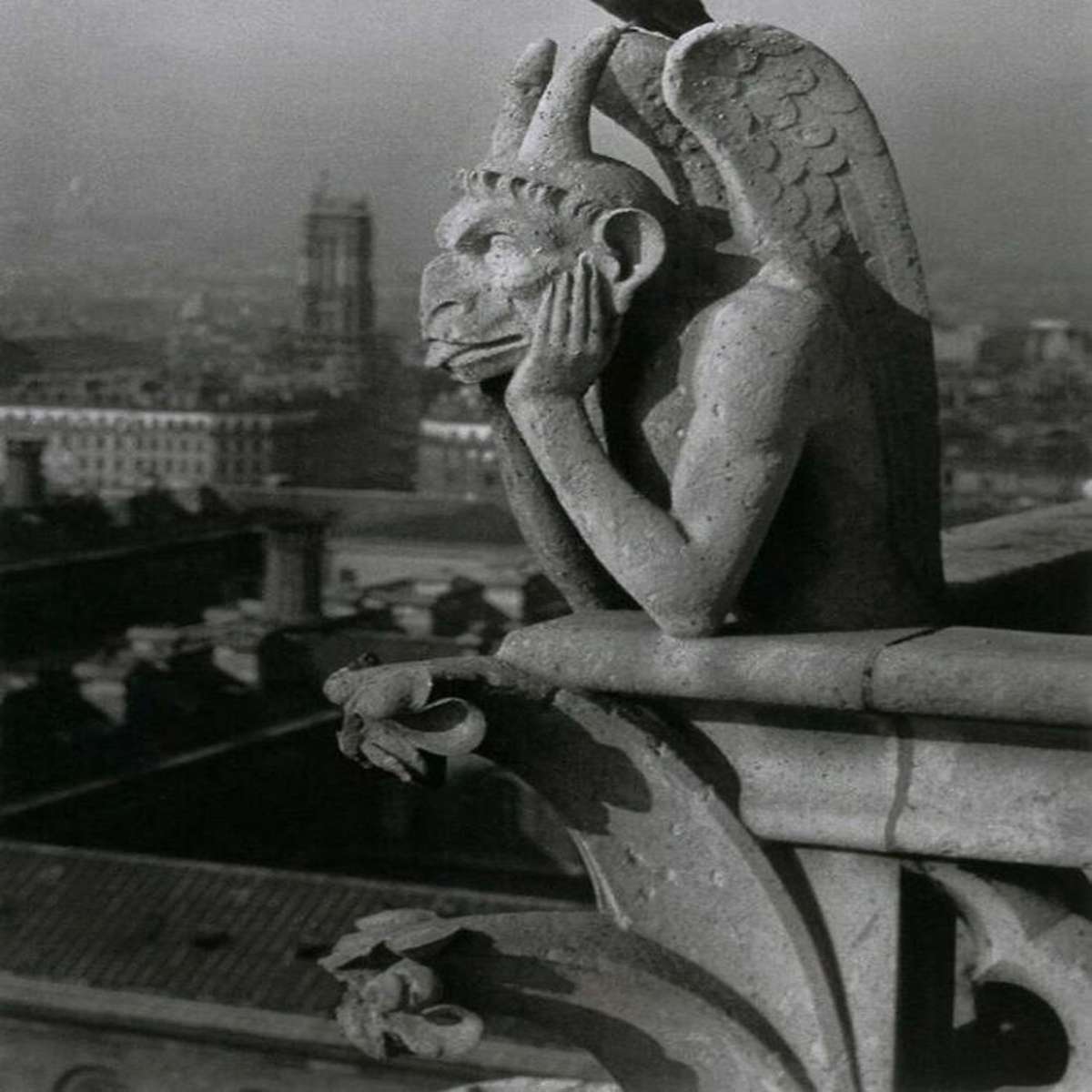 Notre-Dame, Paris. 'Diable Et Pigeon' (Devil And Pigeon)