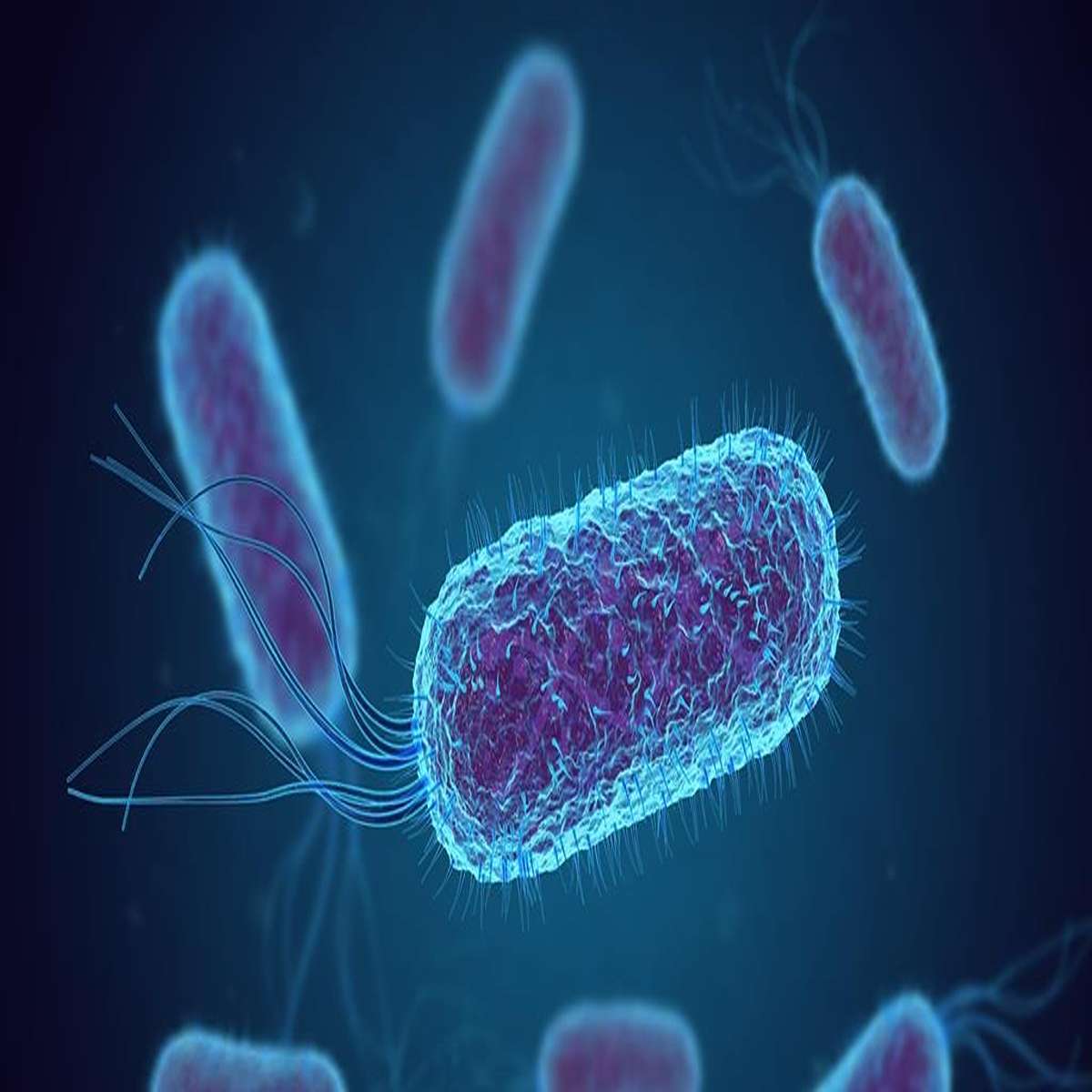 Did you know that 40% of your body is just foreign entities like bacteria and fungus.