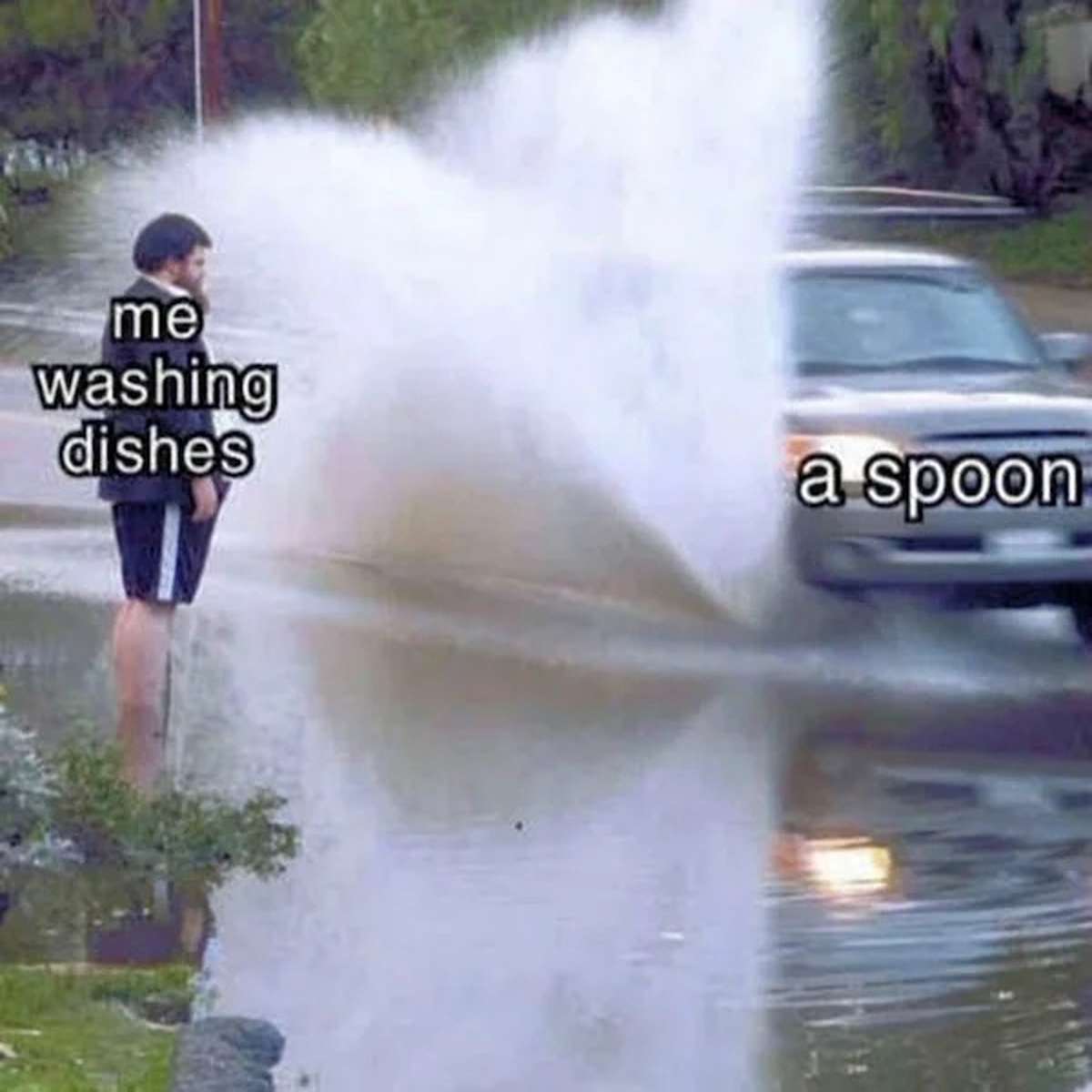 fresh memes - car - me washing dishes E a spoon