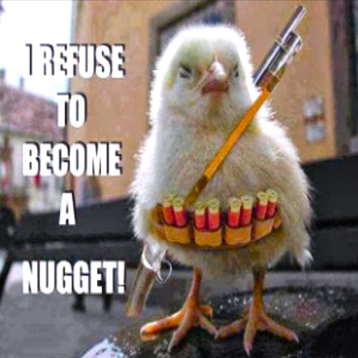 fresh memes - fauna - 1 Refuse To Become A Nugget! www