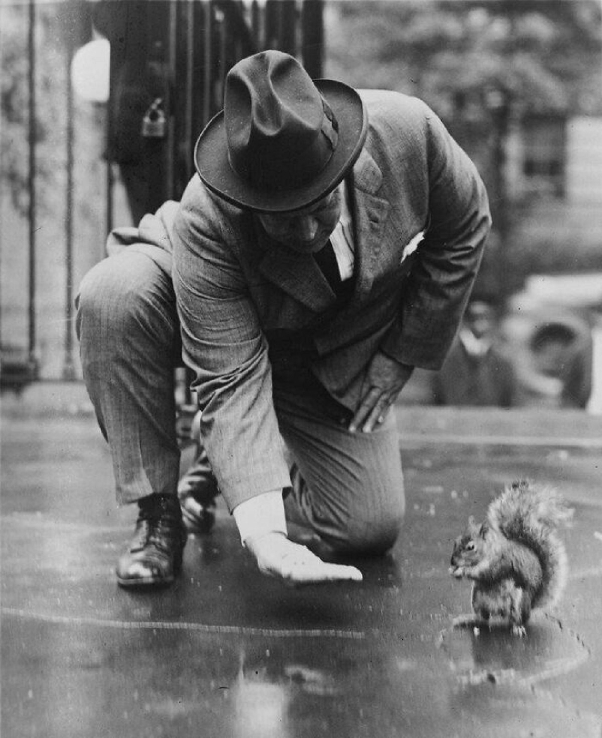 A Man Feeds Pete The Squirrel Outside The White House In 1922