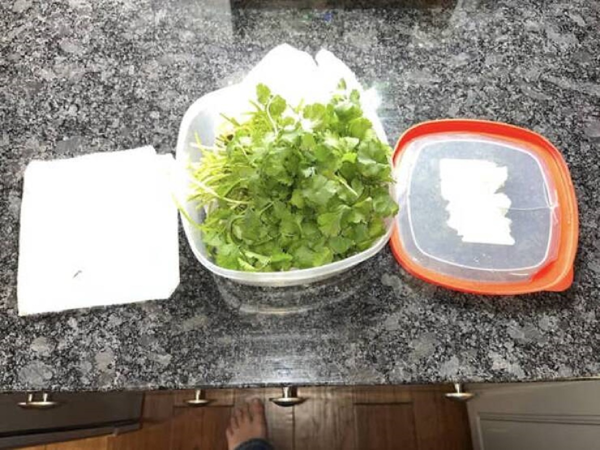 "To extend the shelf life of herbs like cilantro, "We put a paper towel on the bottom of a container, rinsed and untied our cilantro, put another paper towel on top, then sealed it in the container. Wow! This cilantro is 2 weeks old. We went on vacation and came back to it looking as if it was picked today. An absolute revolution for herbs.""