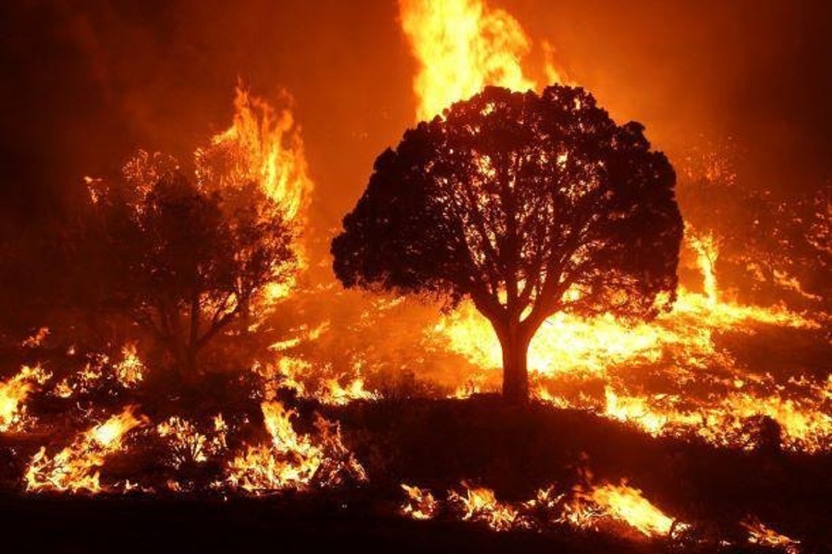 85% of wildfires in the United States are caused by humans