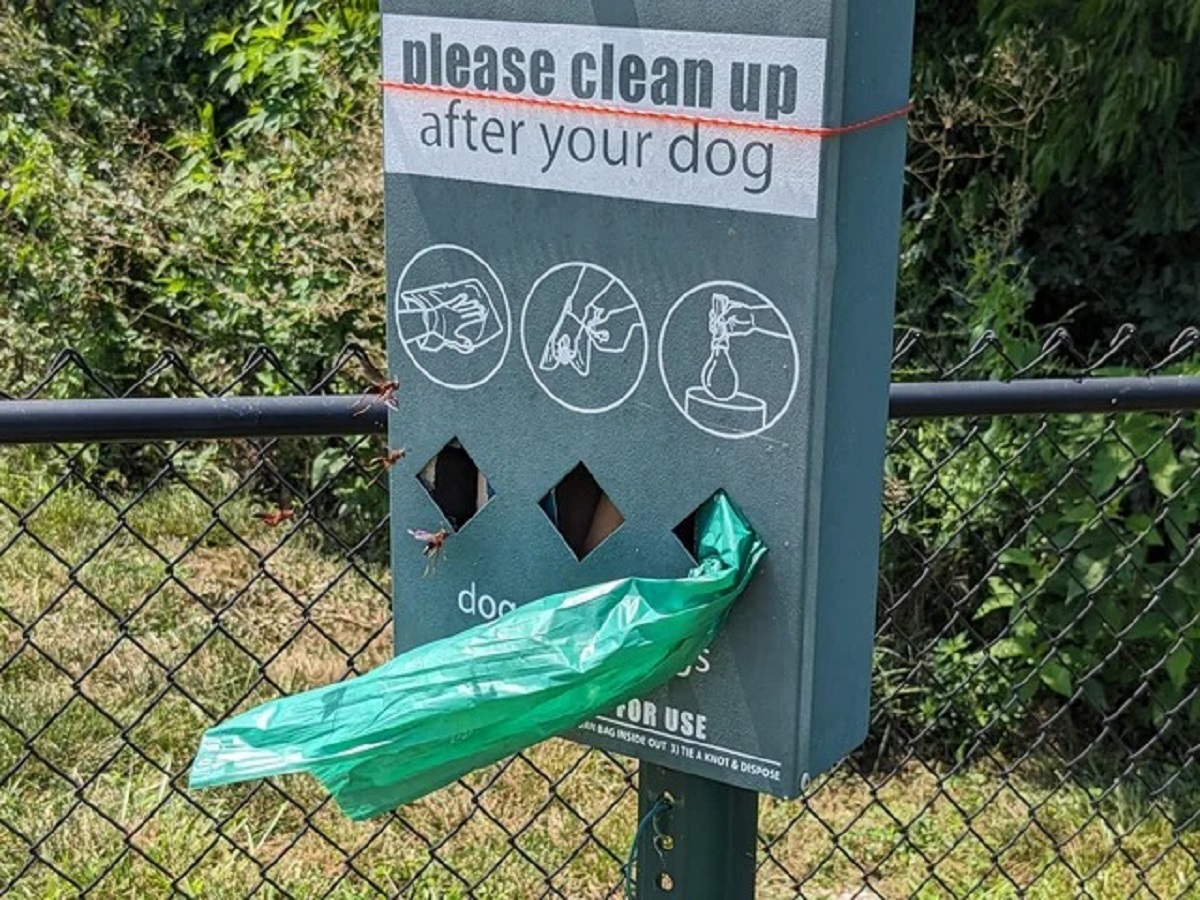 Dog crapped, crap bag dispenser is filled with wasps