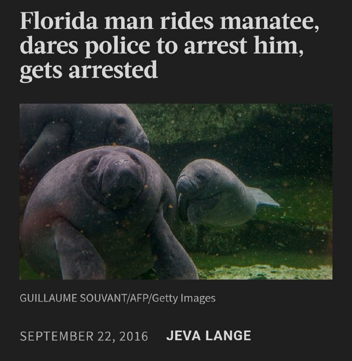 26 WTF Florida Men Out In The Wild.