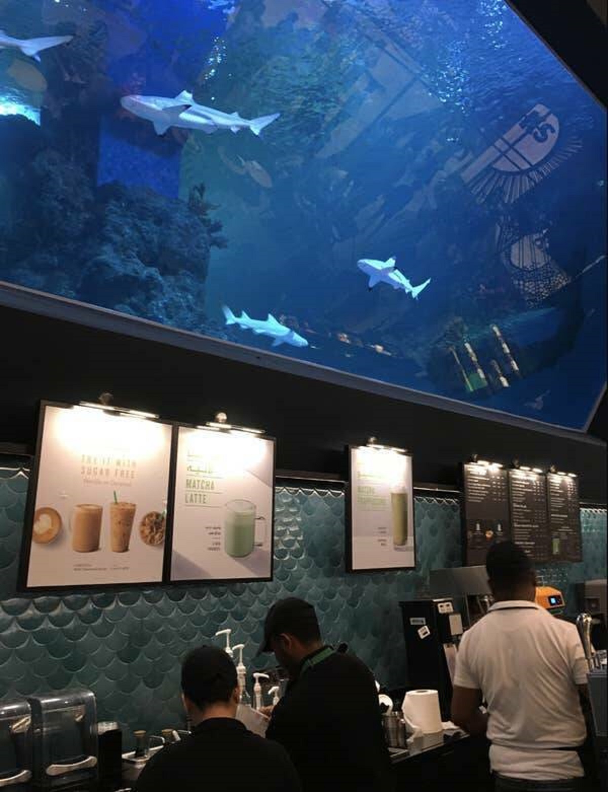 There's a Starbucks in Oman that literally has a SHARK TANK behind the register.