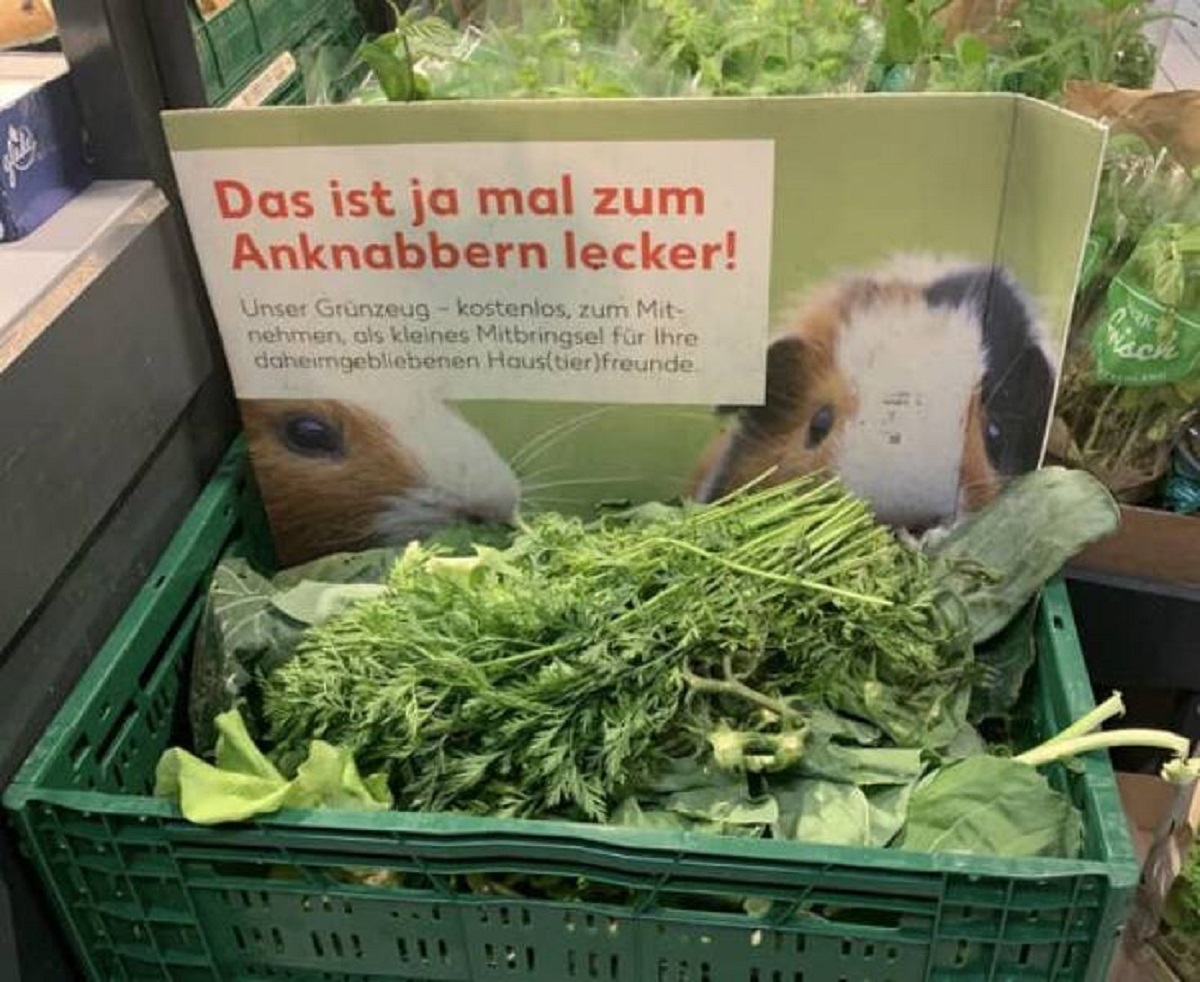 This grocery store in Switzerland gives away leftover greens that would otherwise be trash for free so people with small pets like guinea pigs and bunnies can make use of them.