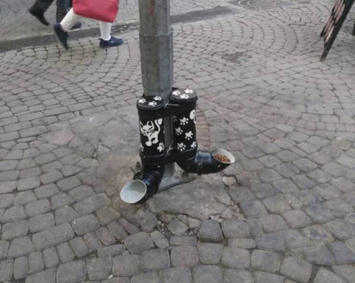 Turkey has public cat food dispensers for street cats.