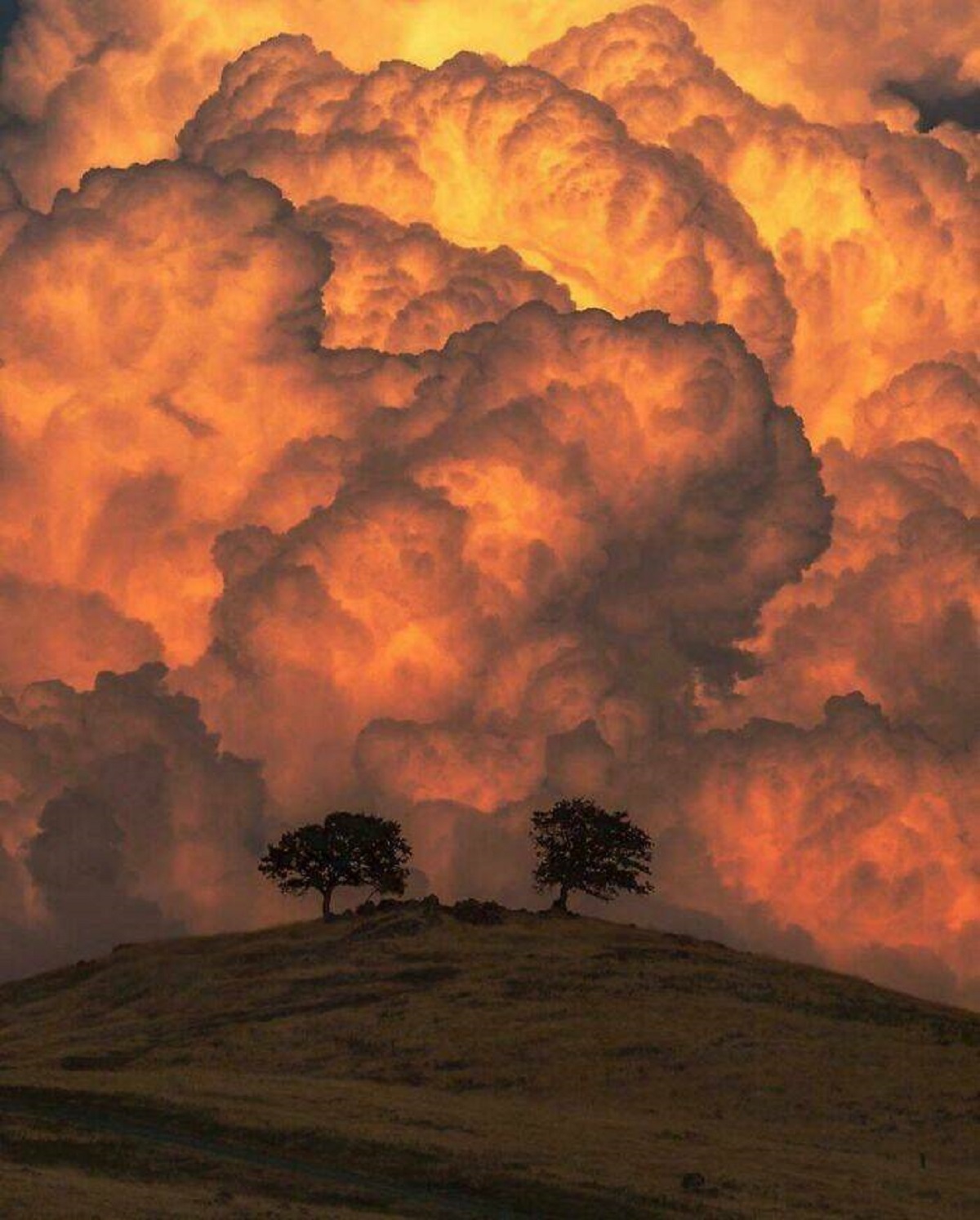 "The Most Spectacular But Eerie Effect Was Produced By Towering Thunder Clouds That Were Photographed During A Sunset"