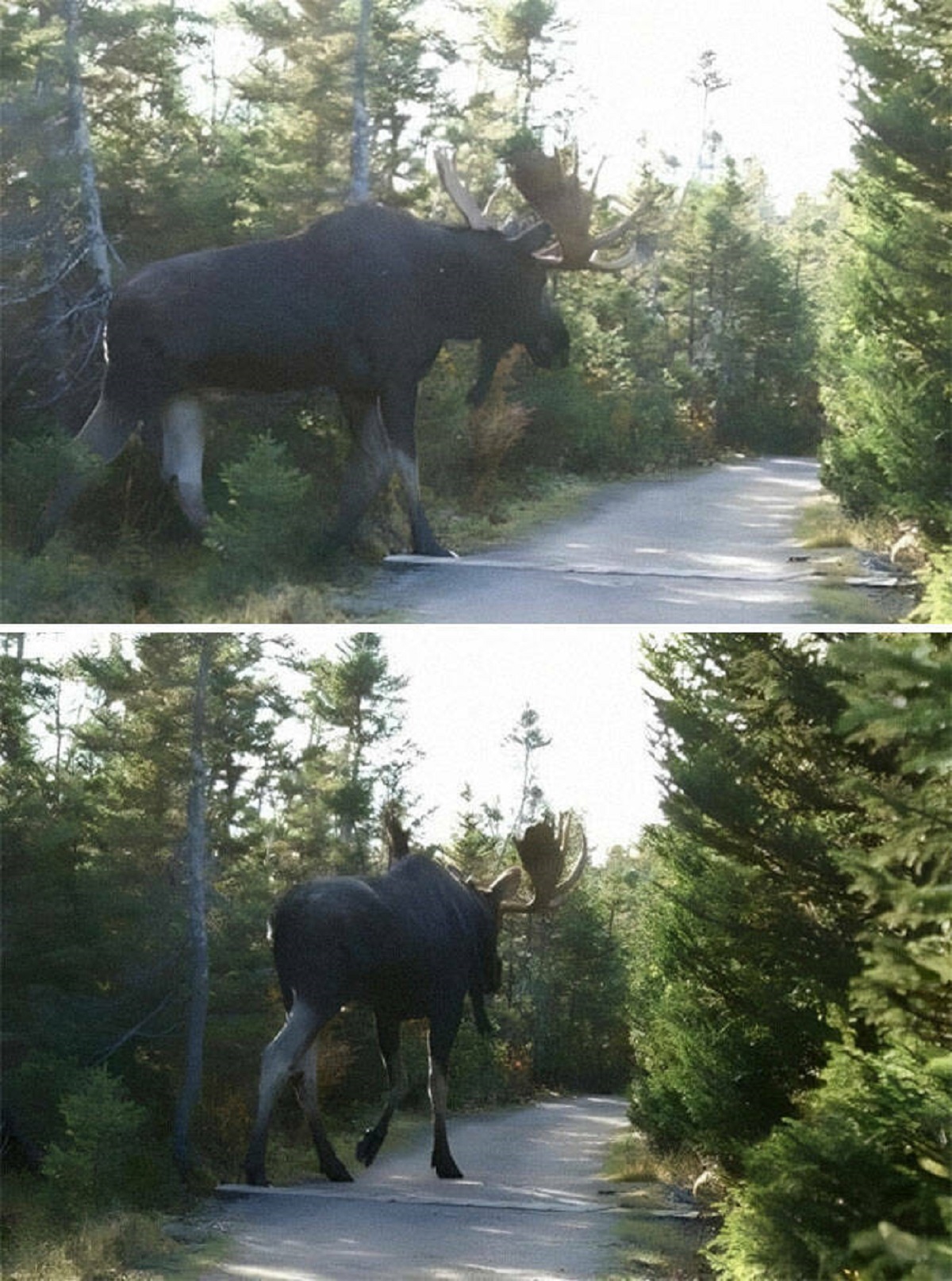 33 Large Things That Are Almost Terrifying.