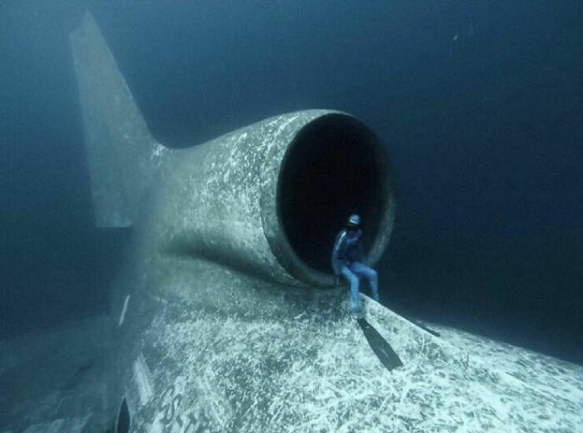 "A Free Diver Sitting In The Engine Of A Sunken Plane"