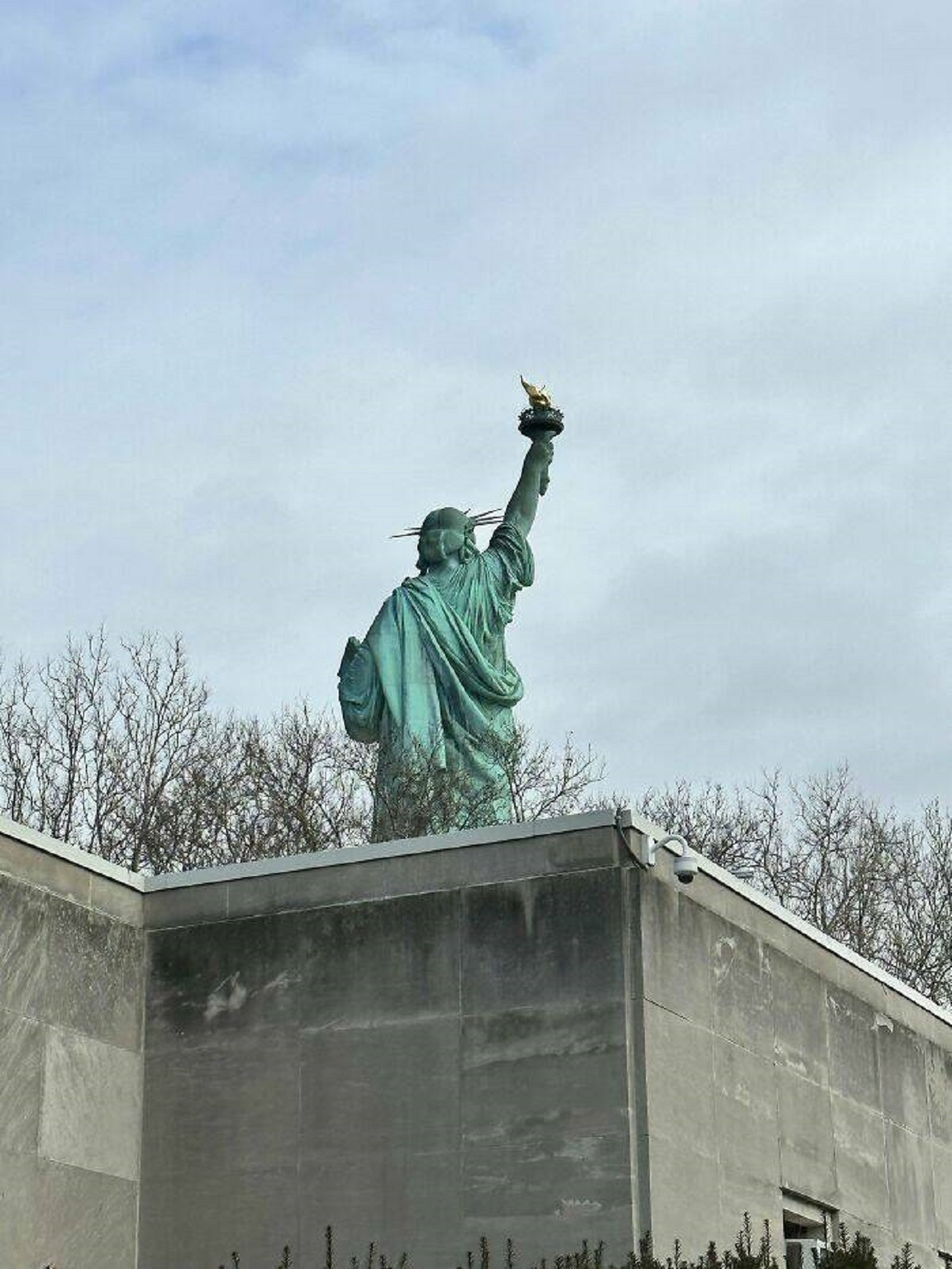 viral pics - statue of liberty
