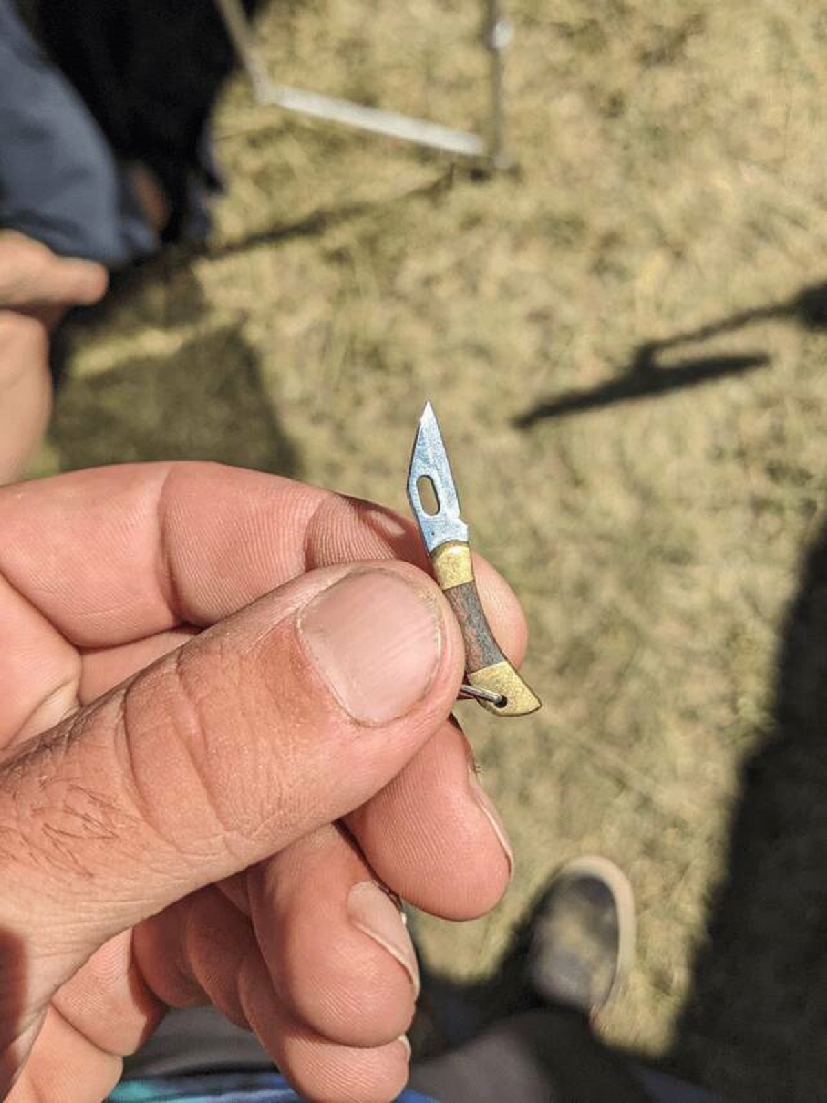"I found a tiny pocket knife at a music festival."