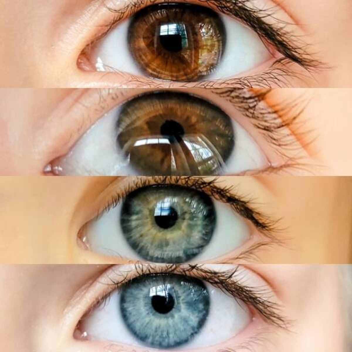 "My husband has brown eyes, I have blue. These are our four children's eyes."