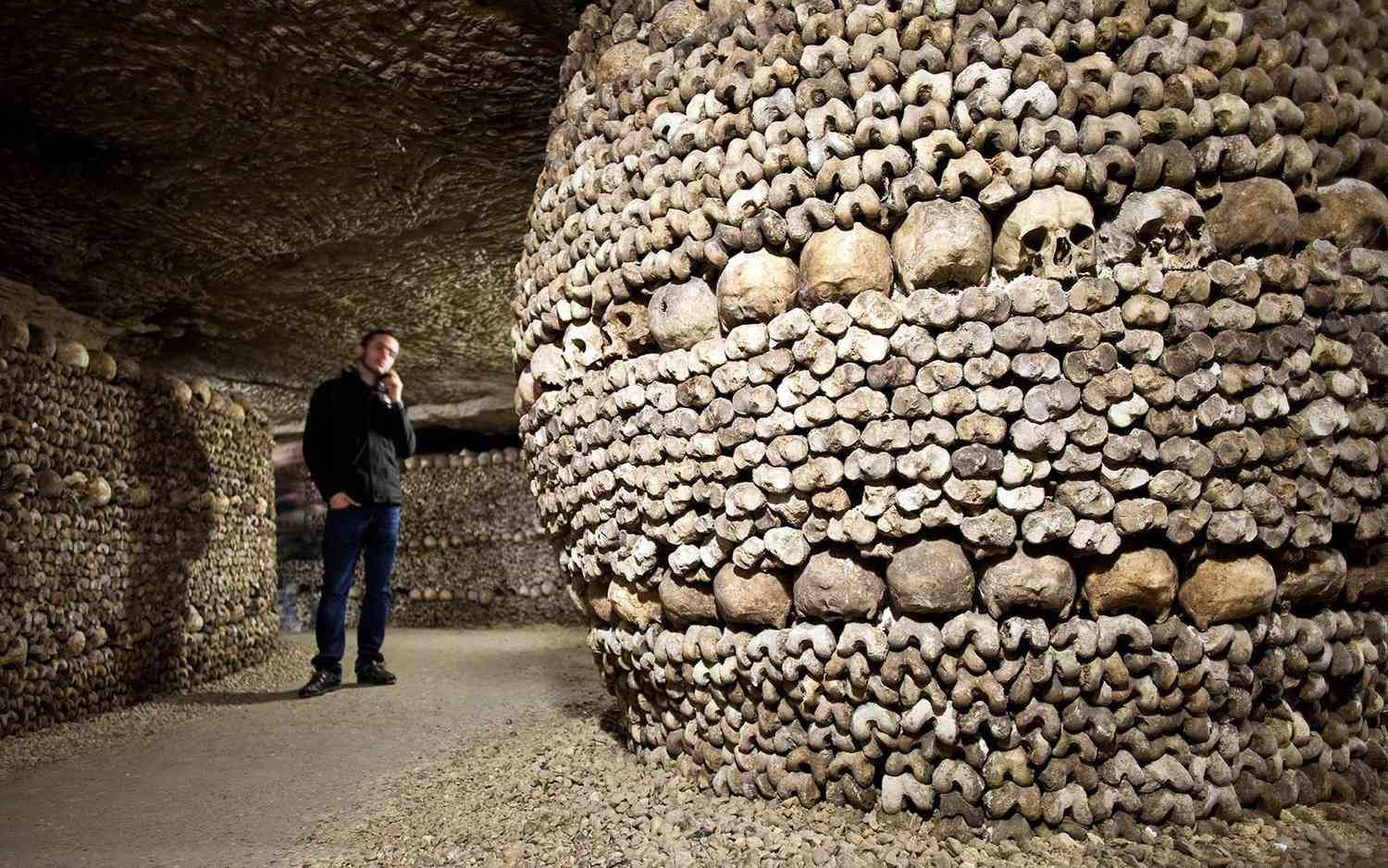 Champignons de Paris (aka Button Mushrooms) were cultivated in the catacombs under Paris (where 6 million people were buried), where it was grown on horse manure
