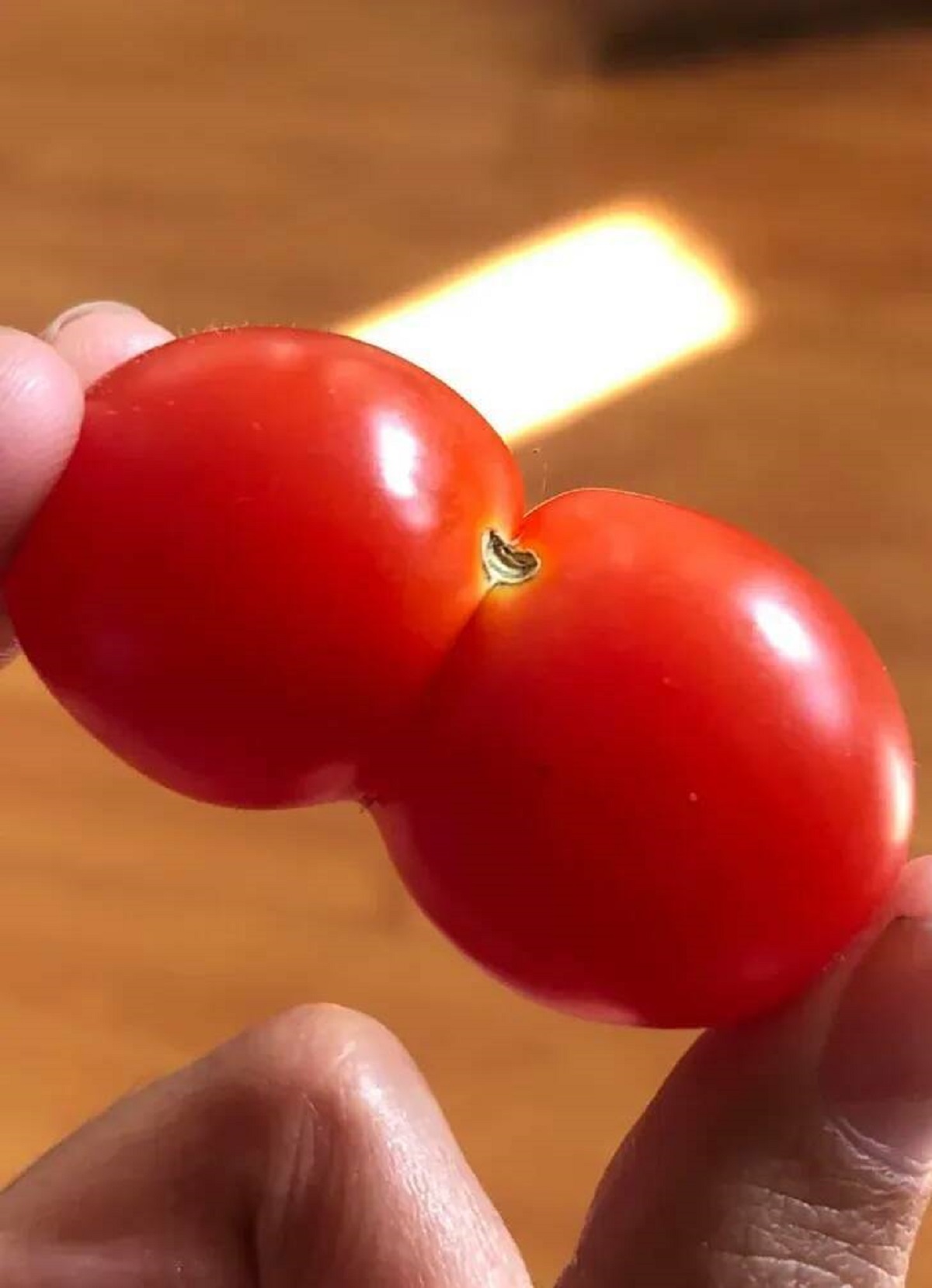 Conjoined cherry tomatoes.