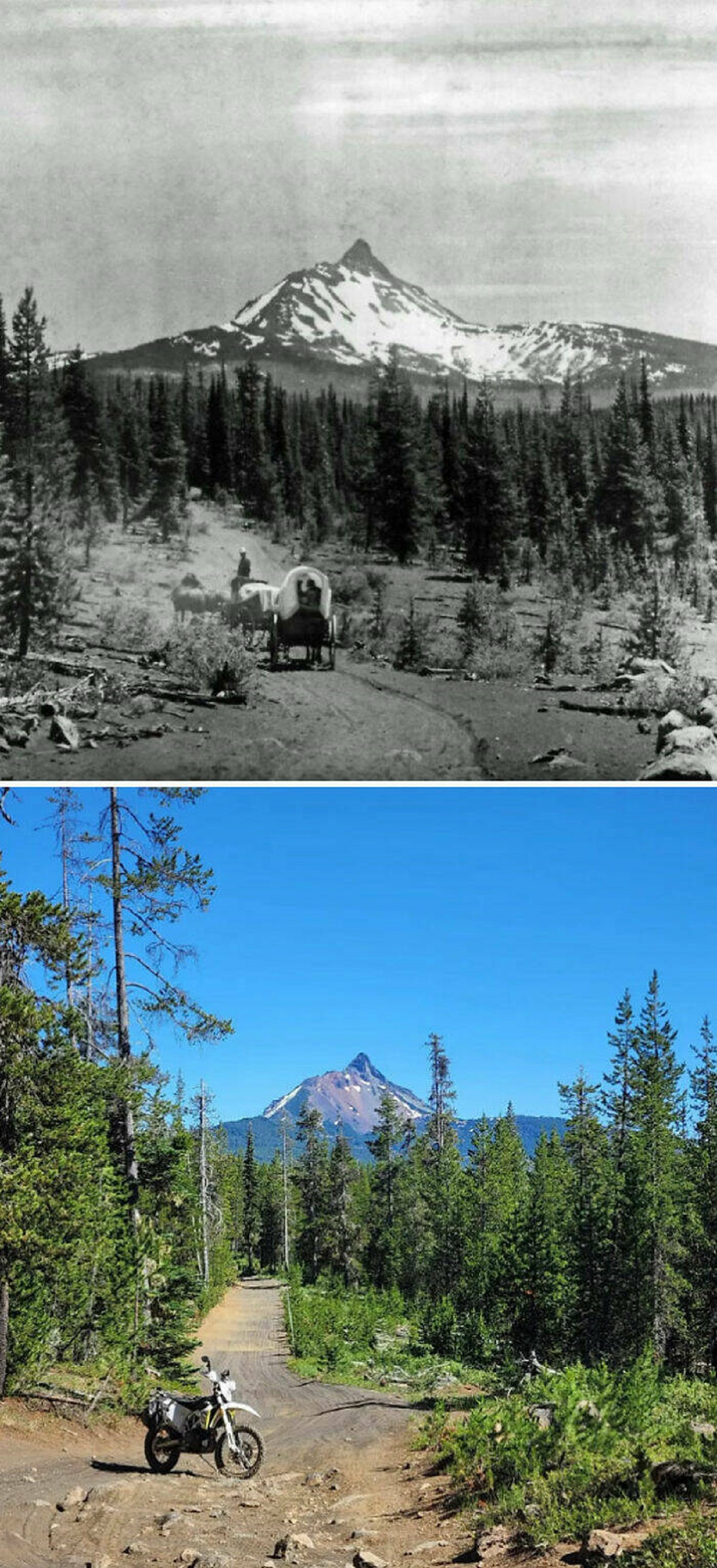 "Tried My Best To Find The Same Location. Satiam Wagon Road, Oregon. 2022 vs. Date Unknown. Road Was Used 1860-1930s"