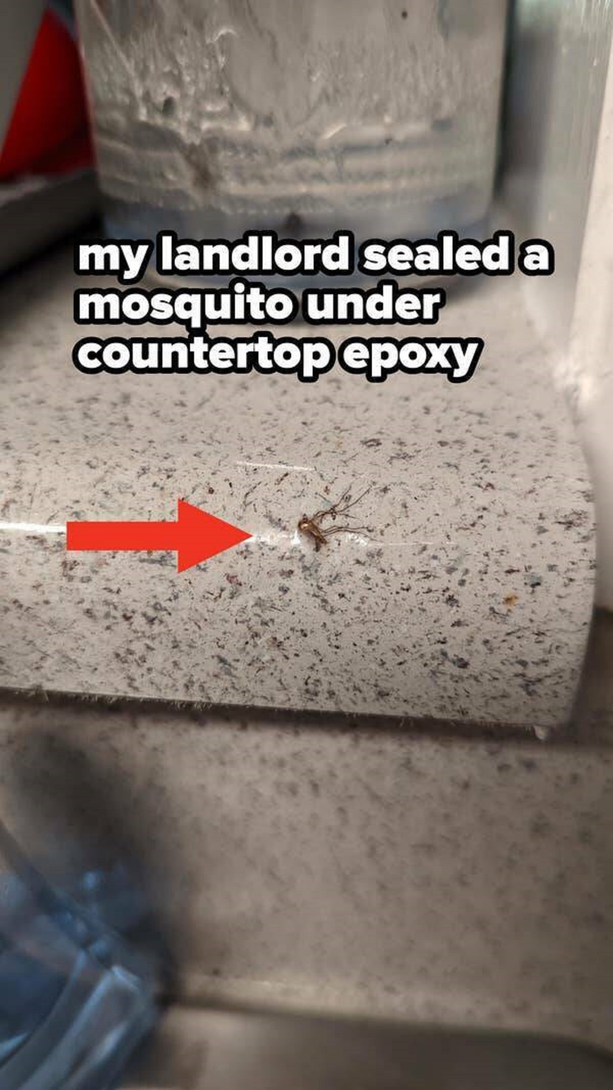 50 Landlords Who Made Terrible Mistakes.