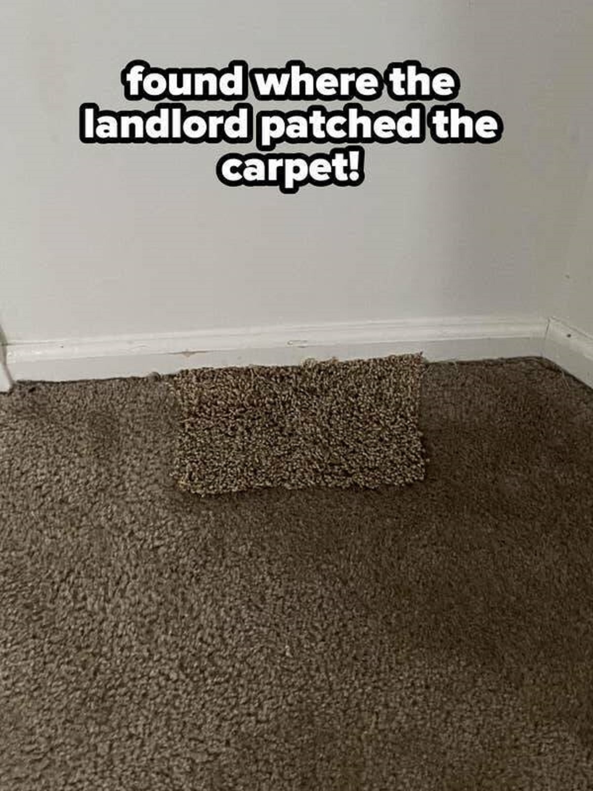 50 Landlords Who Made Terrible Mistakes.