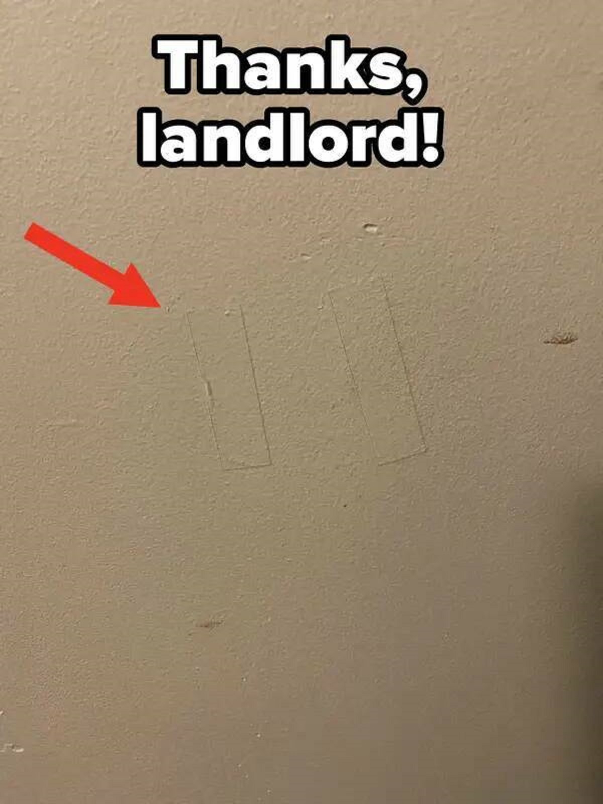 50 Landlords Who Made Terrible Mistakes.