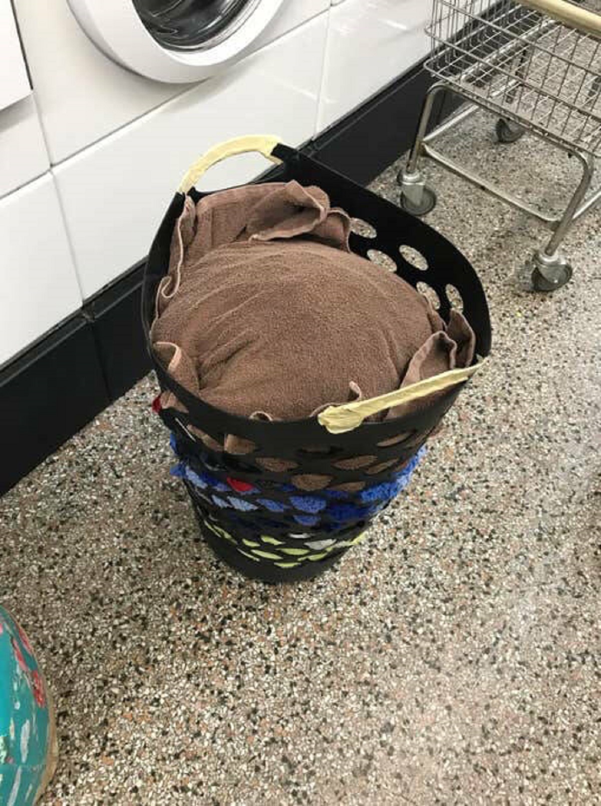 "Tucking a large towel or hoodie on the top of your laundry basket will help prevent items from spilling out on the way down and up from the laundry room."