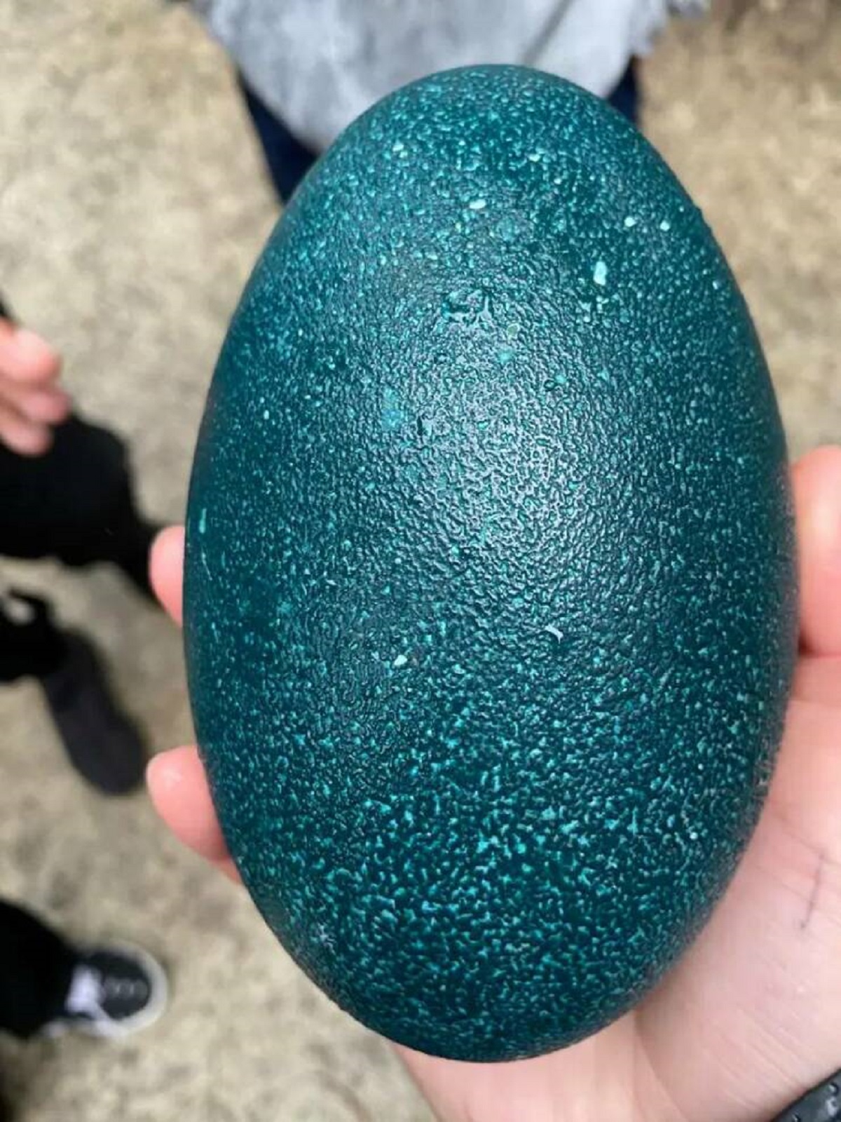 Emu eggs are absolutely beautiful: