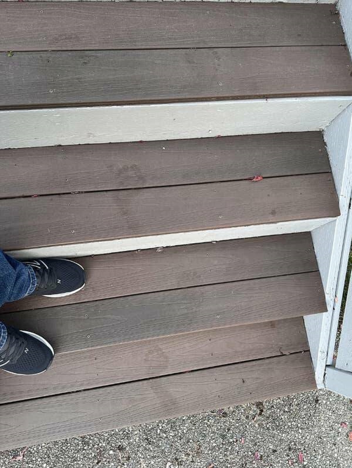 "I was leaving my house at 6 a.m. and found this in the dew on the front steps."