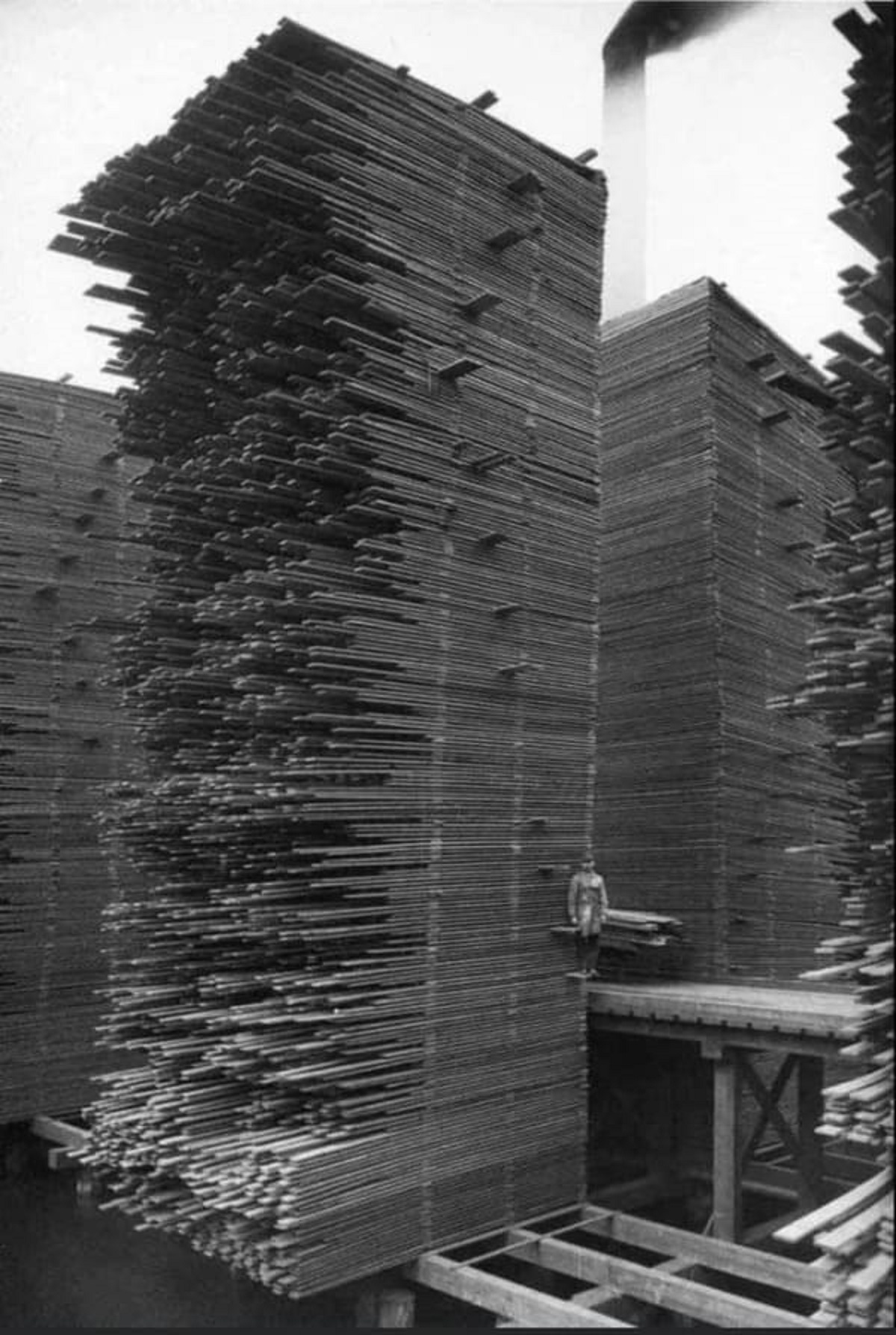 “This picture was taken in the year 1919 in Seattle, Washington. Stacks of lumber drying at the Seattle Cedar Lumber Manufacturing Company’s mill in Ballard. The stacks of drying lumber were over 50 feet high. In this photo, a workman stands partway up one of the tall stacks of drying.”