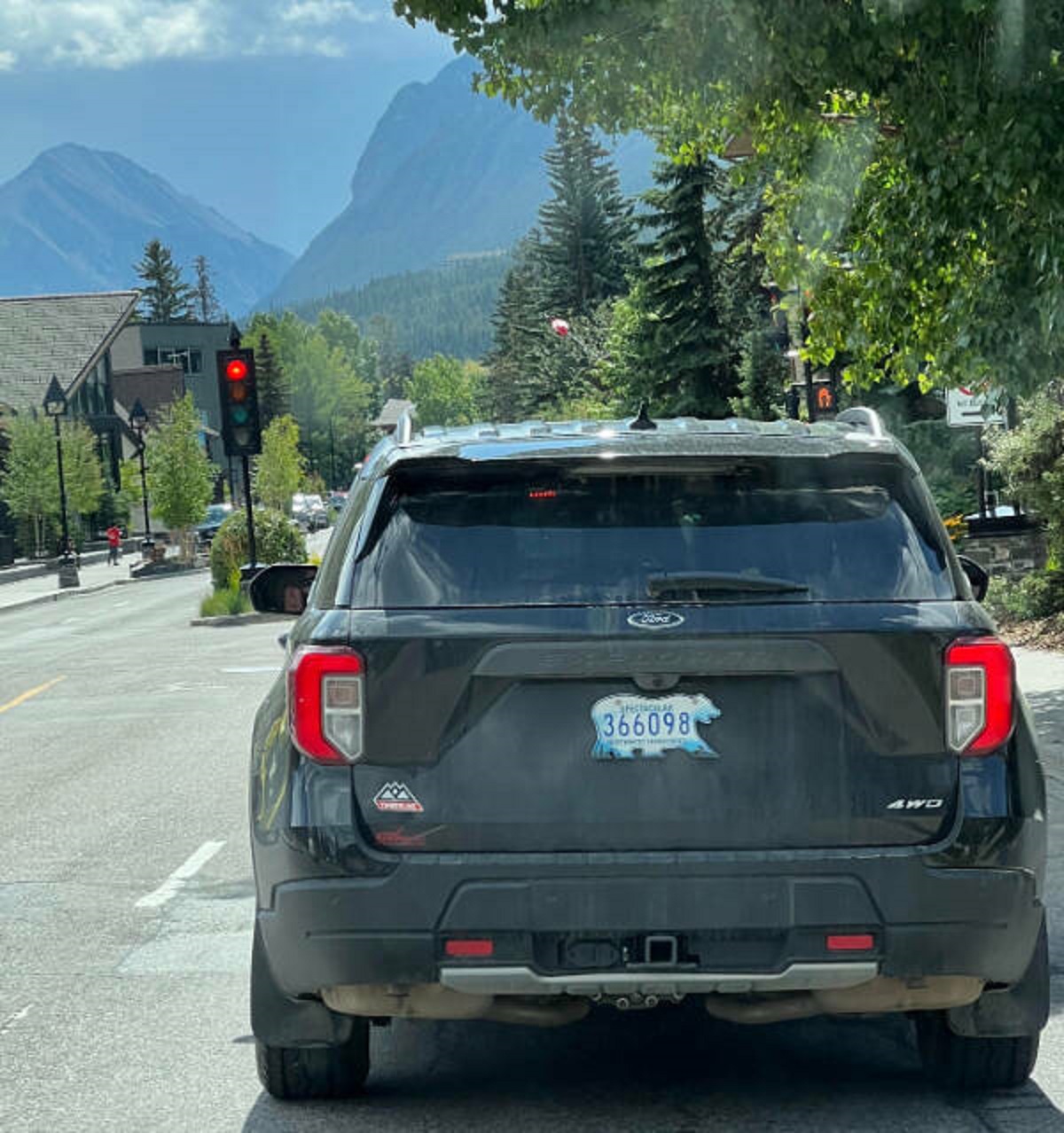 “License plates from the Canadian Northwest Territories are polar bear-shaped.”