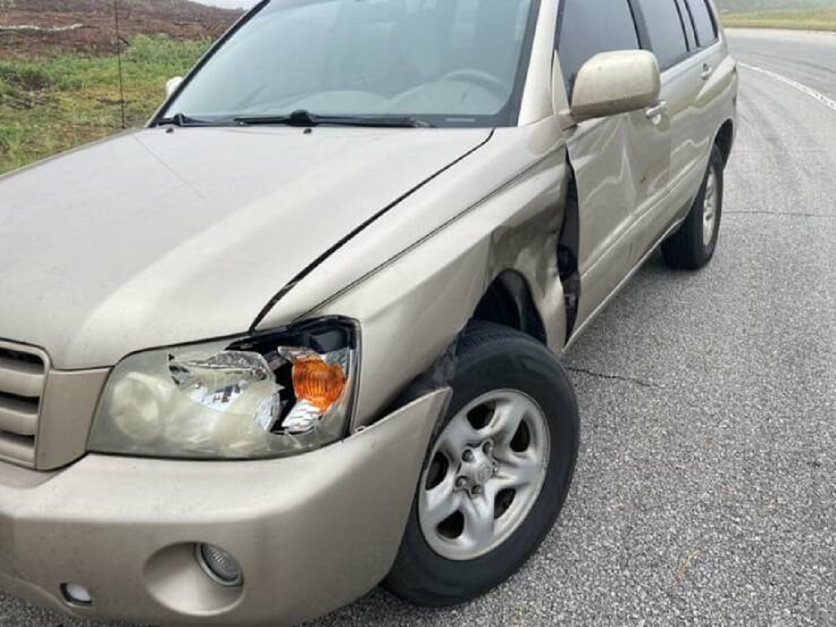 "Deer hit my car on my wife’s due date for our third child."