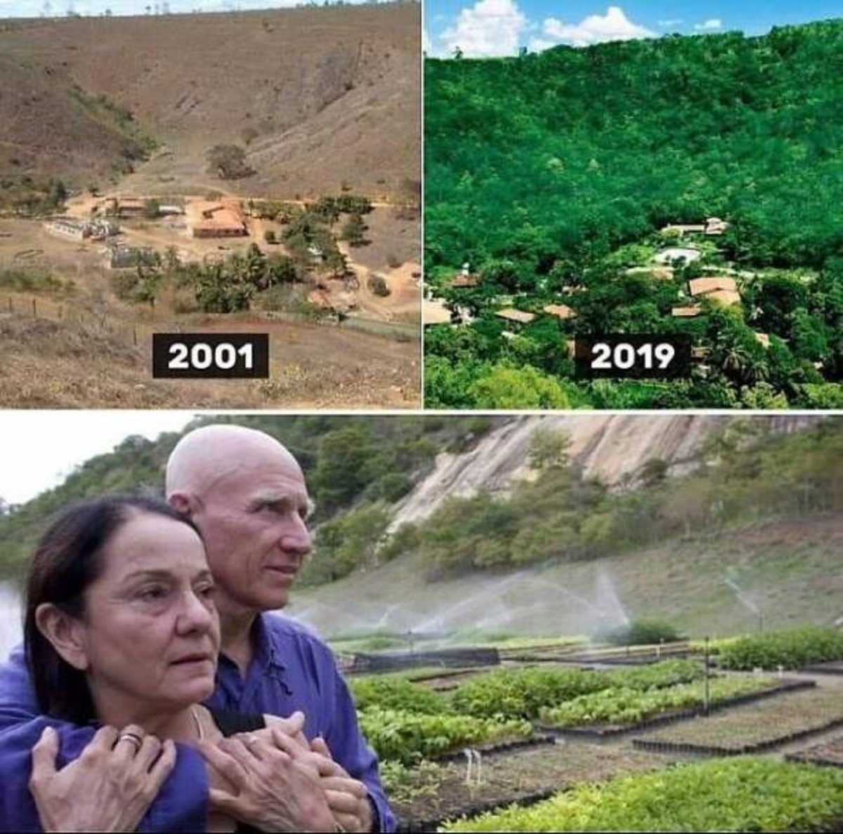 lélia wanick and sebastião salgado - 2001 2019