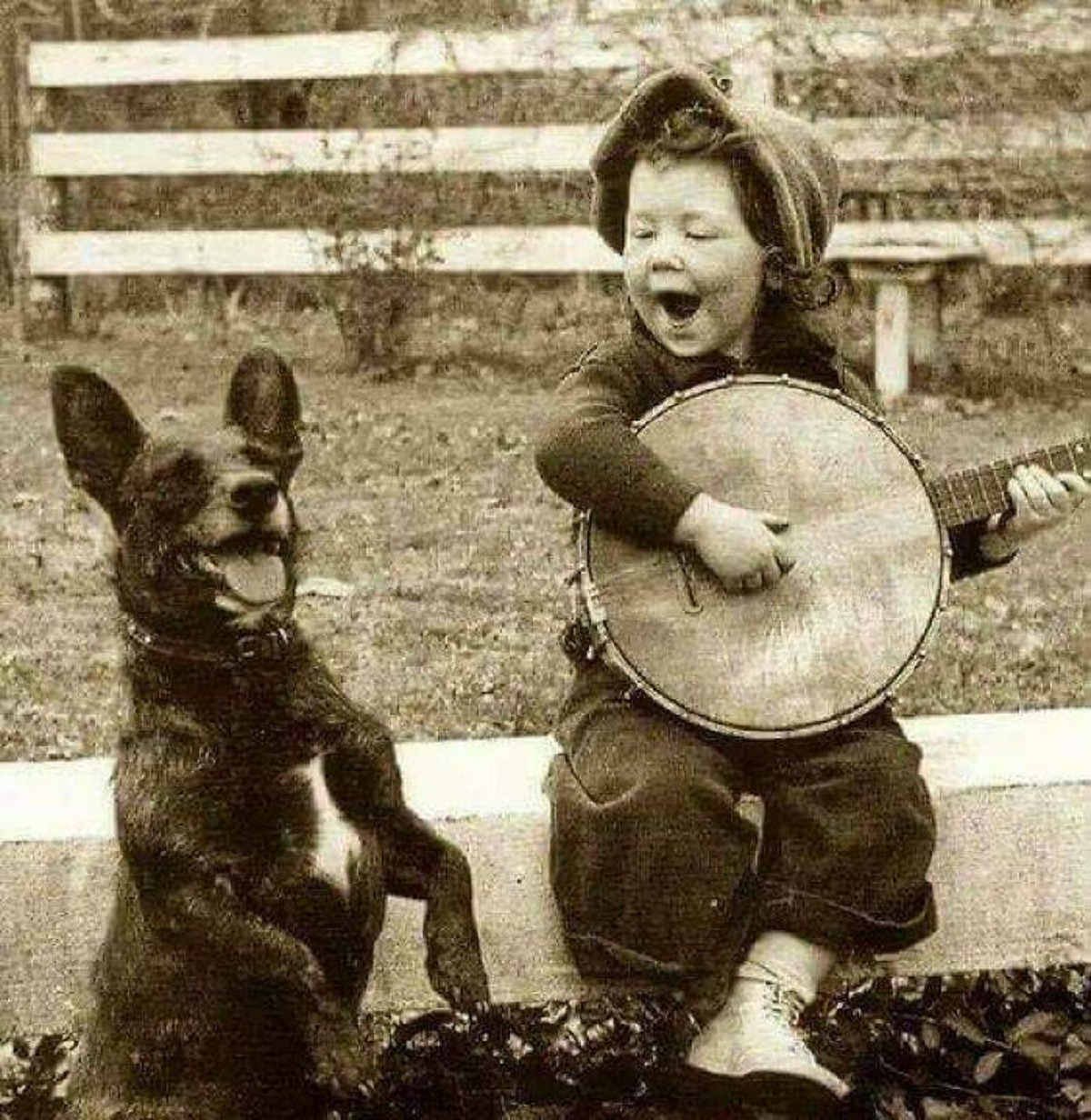 boy playing banjo with dog