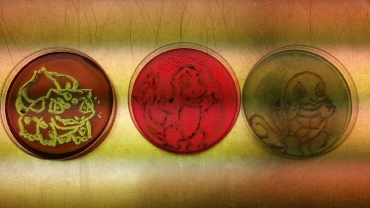 “Was bored at work, decided to draw the Kanto starters... using bacteria.”