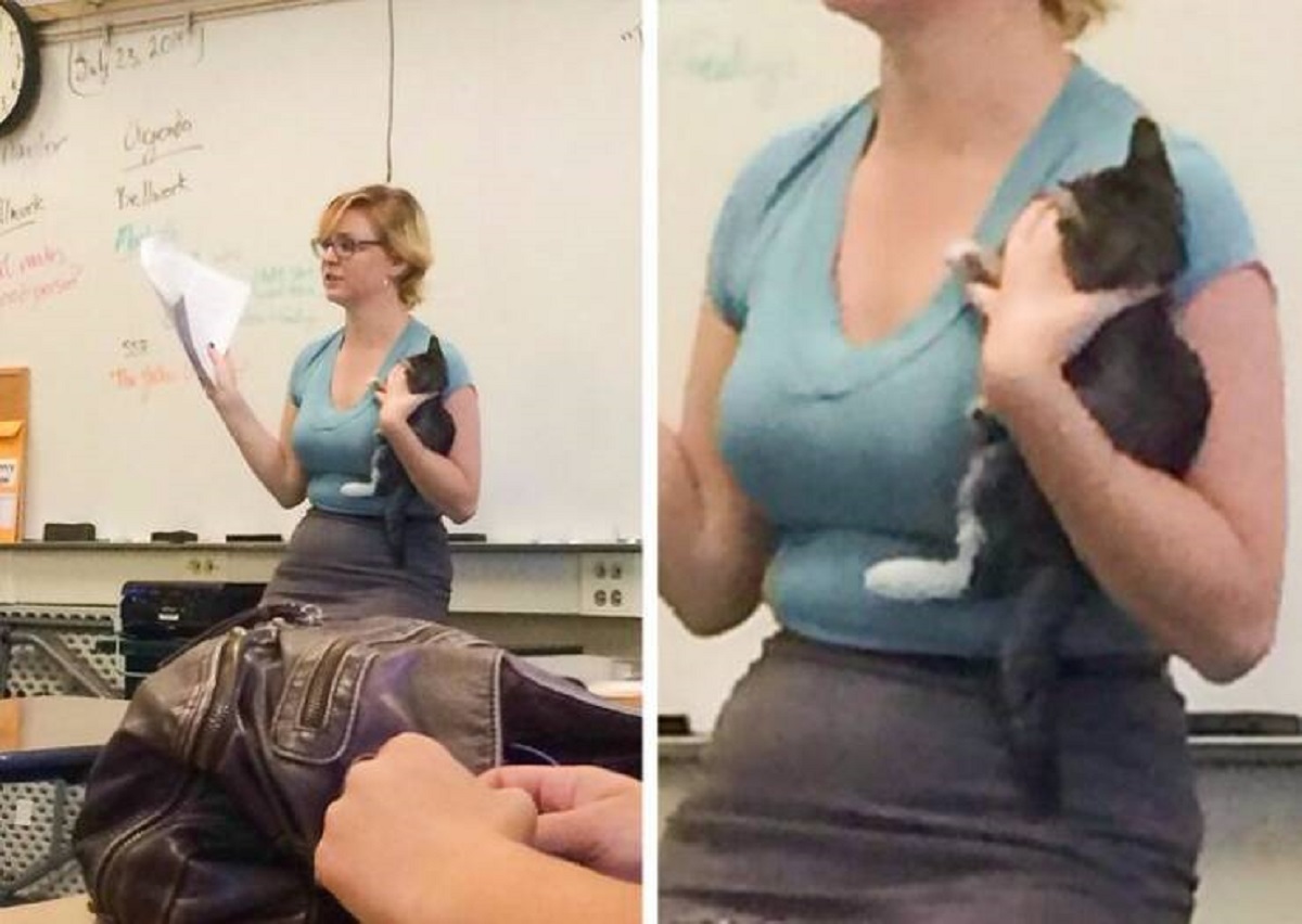 “This teacher rescued a kitten... all while keeping class on schedule.”