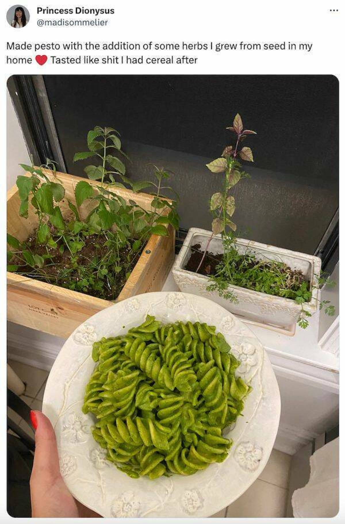 funny tweets - produce - Princess Dionysus Made pesto with the addition of some herbs I grew from seed in my home Tasted shit I had cereal after I