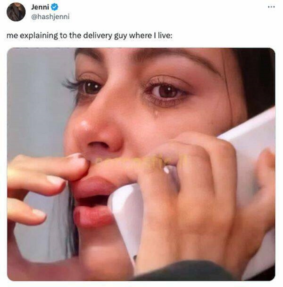 funny tweets - lip - Jenni me explaining to the delivery guy where I live