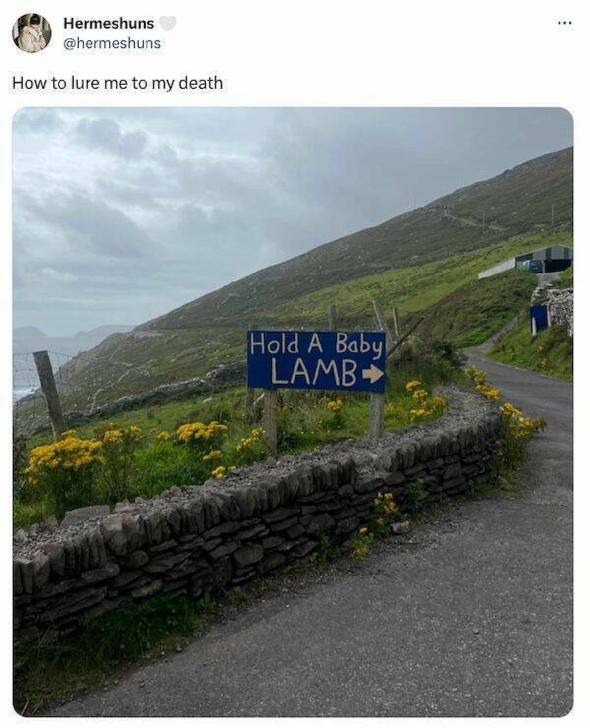 funny tweets - road - Hermeshuns How to lure me to my death Hold A Baby Lamb