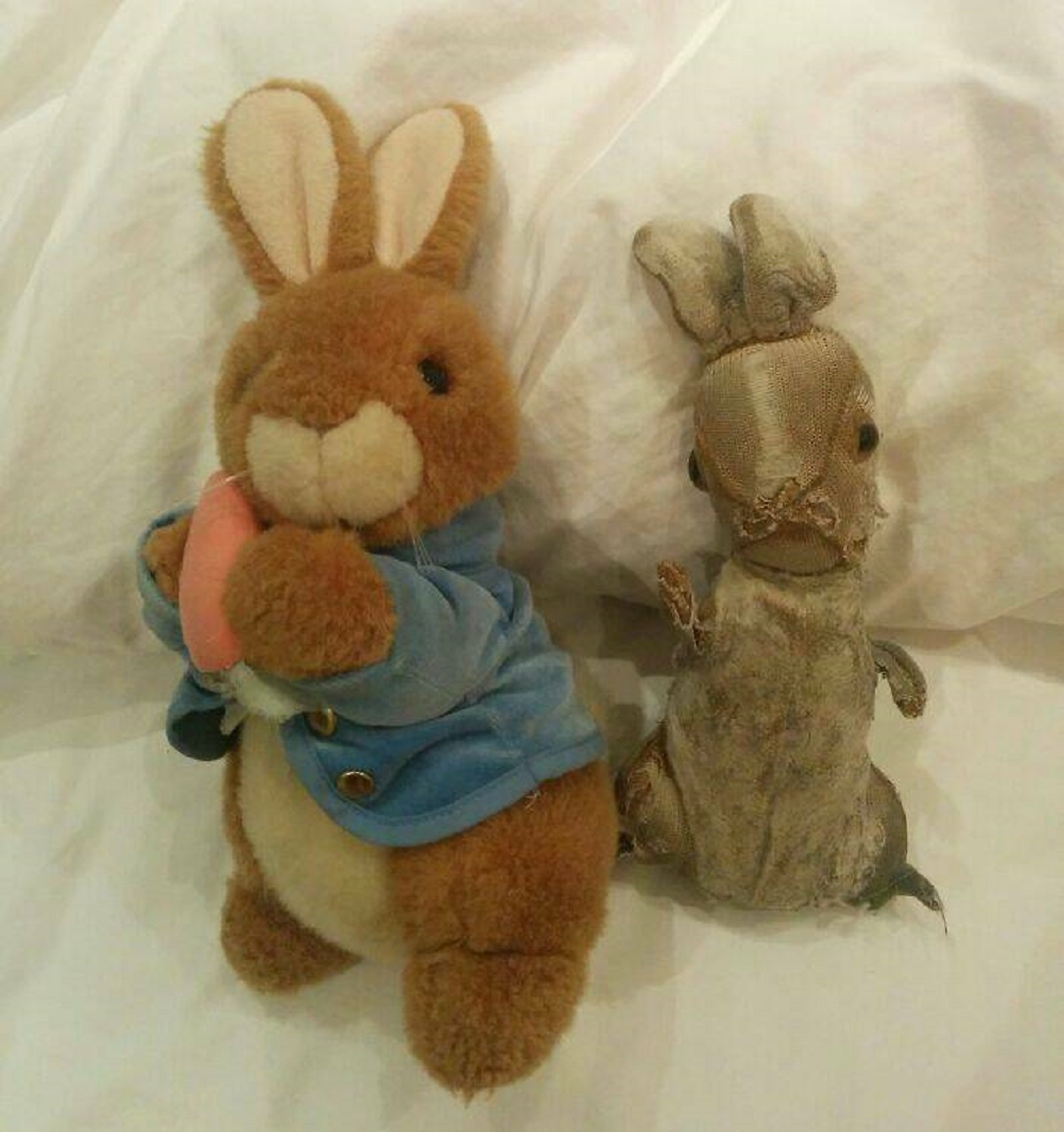 "23 Years Ago, My Girlfriend Was Given 2 Identical Stuffed Peter Rabbit Toys. One She Kept With Her At All Times (And Still Does), The Other Was Stored Away"