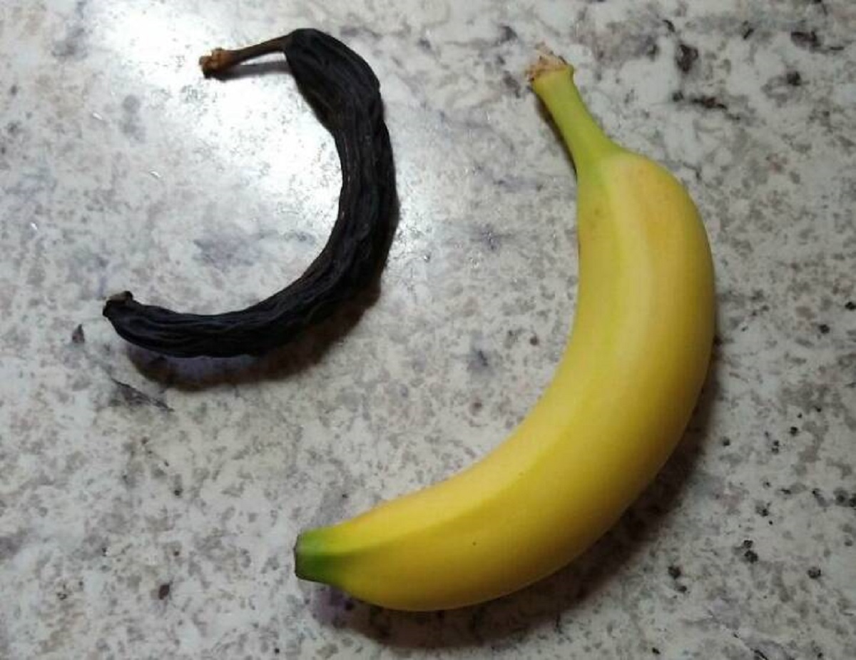 "My Dad Found A ~20-Year-Old Banana In His Coat Pocket"