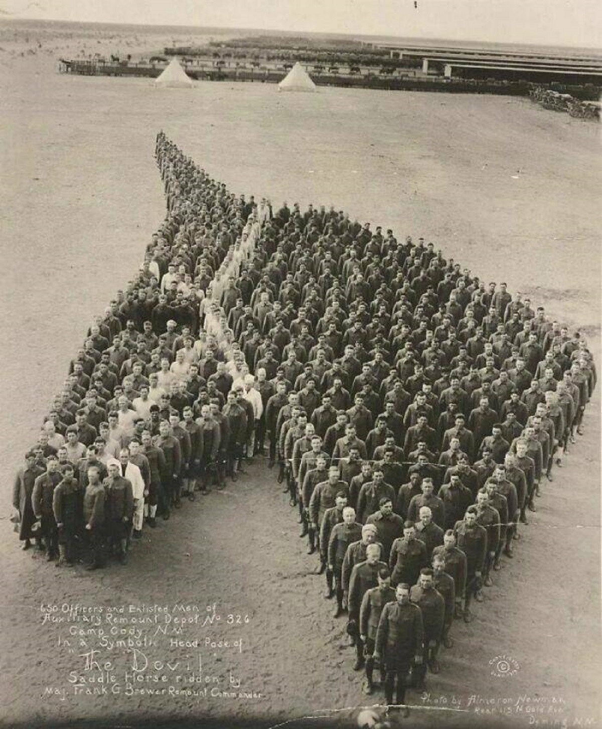 "650 American Officers And Enlisted Men Paying Tribute To More Than 8 Million Horses, Mules And Donkeys That Died In Service In The World War I"