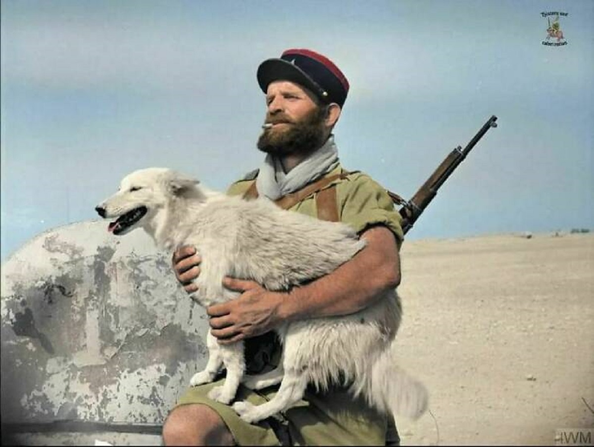 "A Soldier Of The French Foreign Legion Holding The Dog "Fritz", The Battalion Mascot, At Bir Hakeim. Fritz "Moved Over To The Other Side" And Joined The Battalion In Narvik In 1940, And Stayed With Them Ever Since"