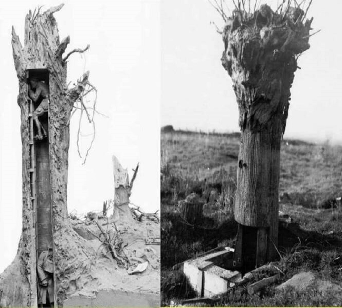 "A Fake Tree Used As An Observation Post And Sniper Nest On The Frontline By The British Army During World War I"