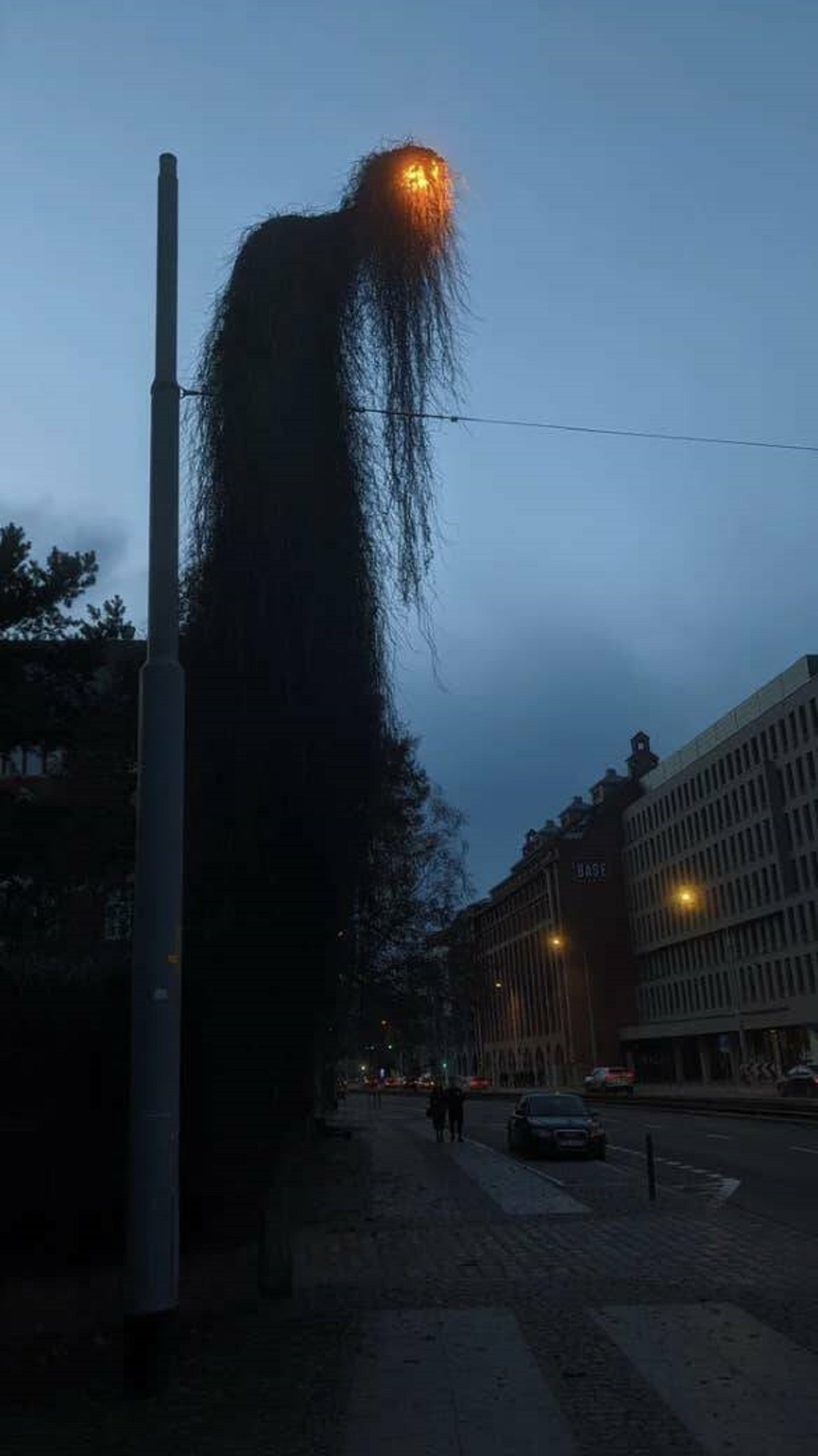 overgrown light pole in poland - Base