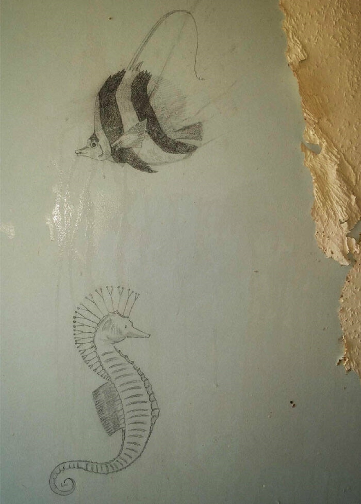 "Found Some Nice Drawings Under The Wallpaper I'm Removing"