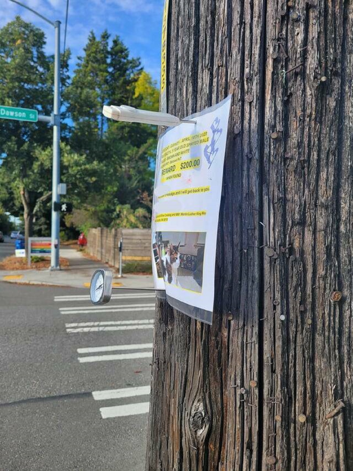 "Someone nailed up a lost cat flyer with 2 grill thermometers"