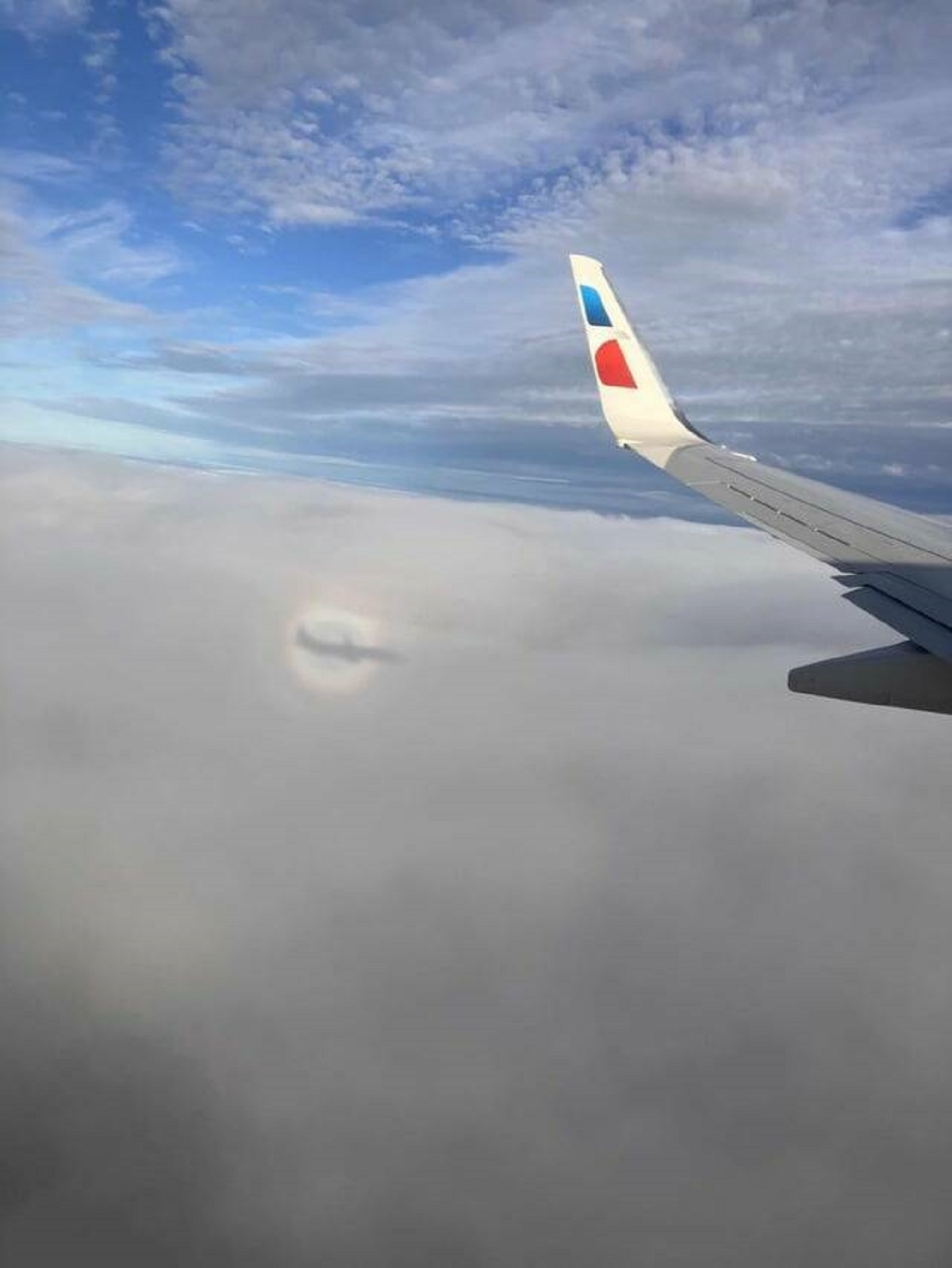 "The plane's shadow inside a tiny circular rainbow"